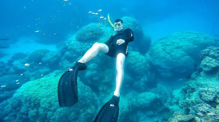 ひとり旅でケアンズに行ったらやりたい5つのこと