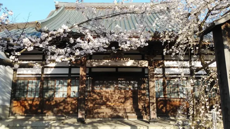 盛岡旅行で心温まるお土産を見つけよう!