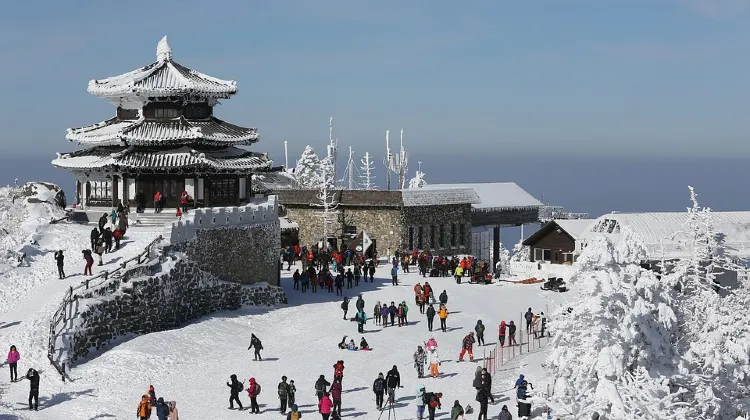 韓国の冬（12月～2月）のベストシーズン