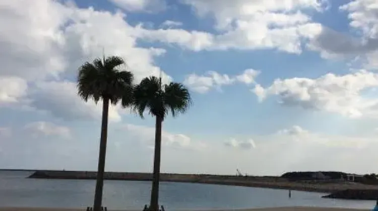 宮崎旅行でよくある質問