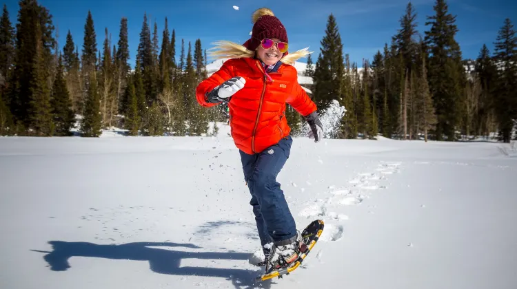 Things to Do at Solitude Ski Resort