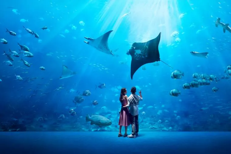 SEA Aquarium Tickets & Tourist Guide