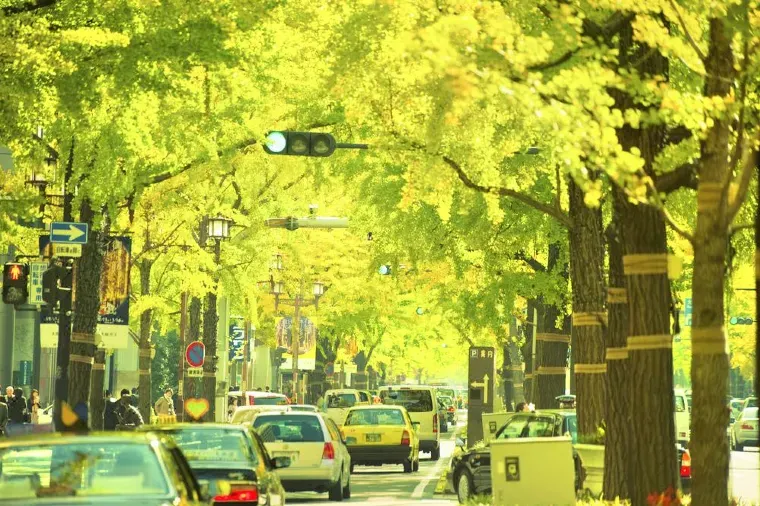 関西国際空港周辺のホテルならTrip.comにおまかせ！