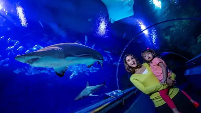 Makanan yang dapat Anda coba di Aquaria KLCC
