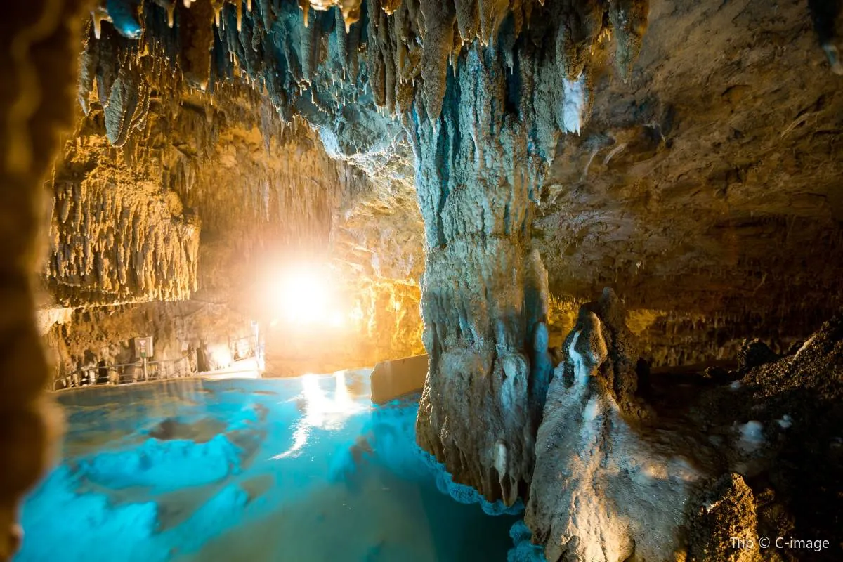 JUNGLIA 叢林樂園周邊景點