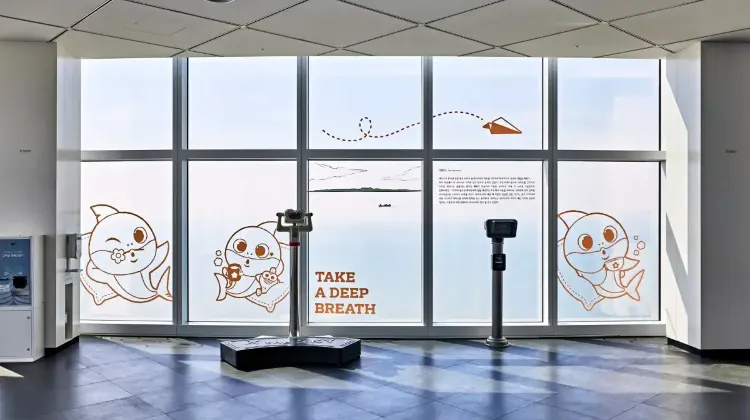 BUSAN X the SKYのチケット料金