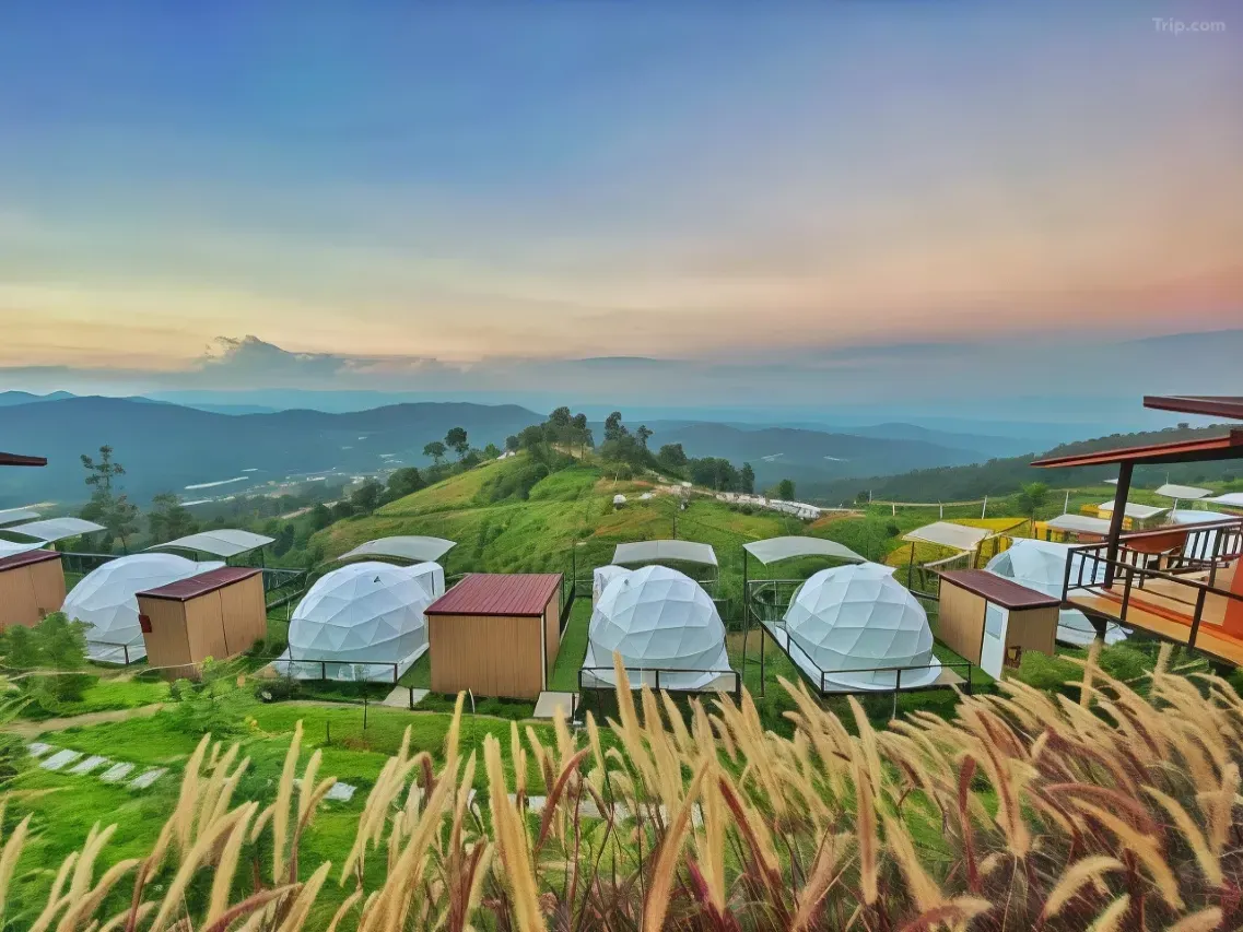 ม่อนพาฝัน(Monpafawn)