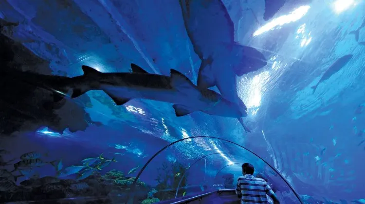 Cara pergi ke Aquaria KLCC