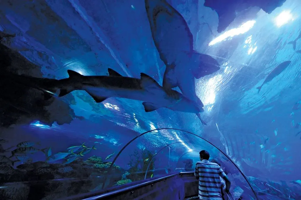 3.Tempat Wisata di Kuala Lumpur-Aquaria KLCC
