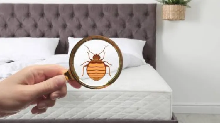 4.部屋を徹底的にチェックする