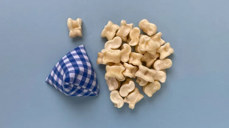 9.シャガイ（家畜の骨）