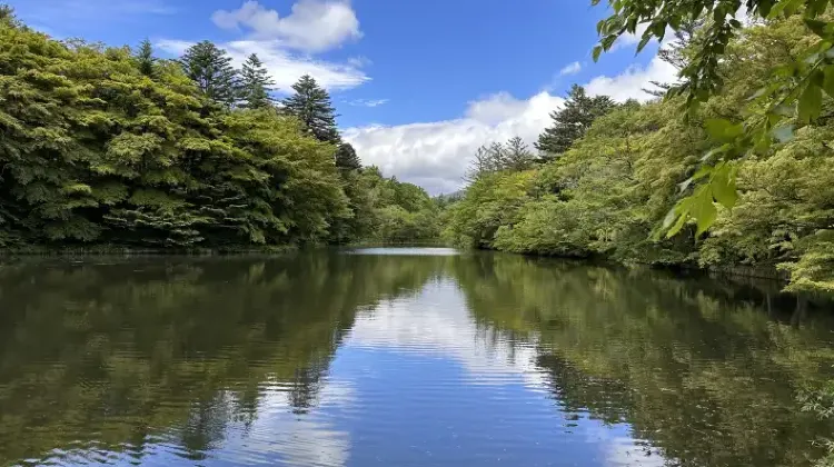 軽井沢雲場池