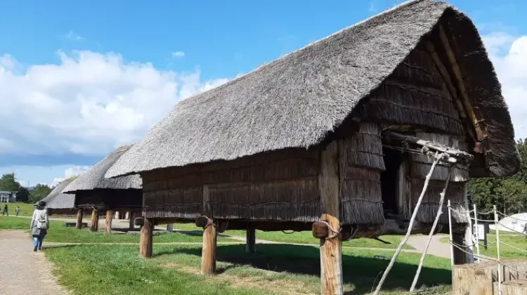 三内丸山遺跡