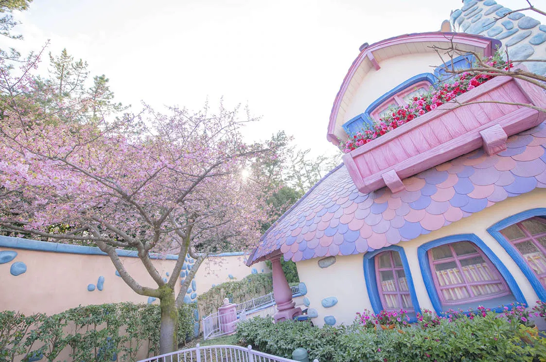 🏰Wann am besten nach Tokyo Disneyland ?