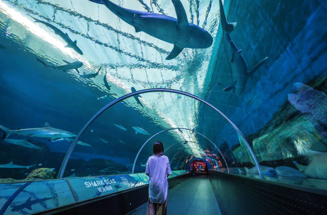 พิพิธภัณฑ์สัตว์น้ำ ซี อควาเรียม S.E.A. Aquarium