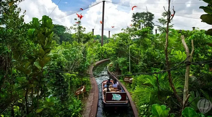 Things to do at River Wonders: Take a boat ride