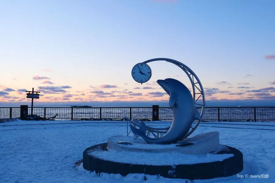 野寒布岬(ノシャップみさき)