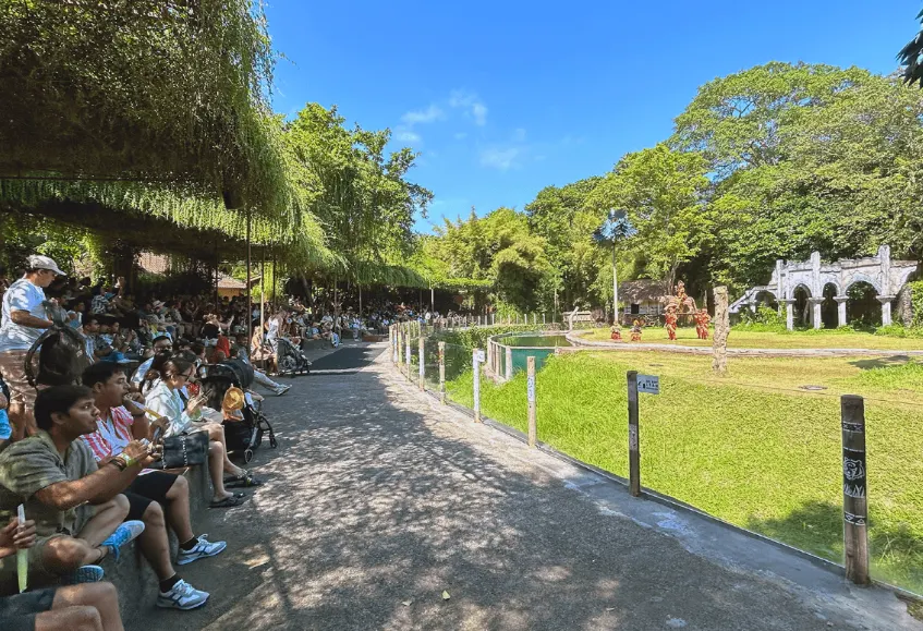 Aktivitas Seru yang Bisa Dilakukan di Taman Safari Bali