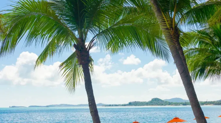 どれがあなたにぴったり？マレーシアでのネット通信選びガイド