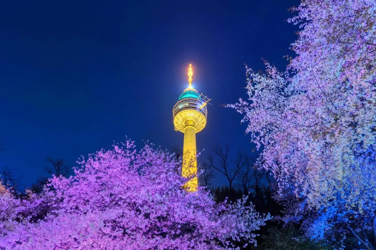 Daegu 83 Tower