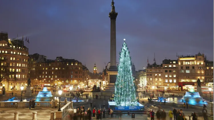 Trafalgar Square Christmas Tree