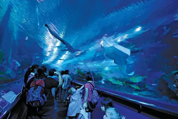 People in underwater tunnel