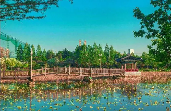 Deokjin Park