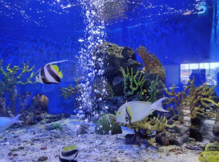 ที่เที่ยวระยอง