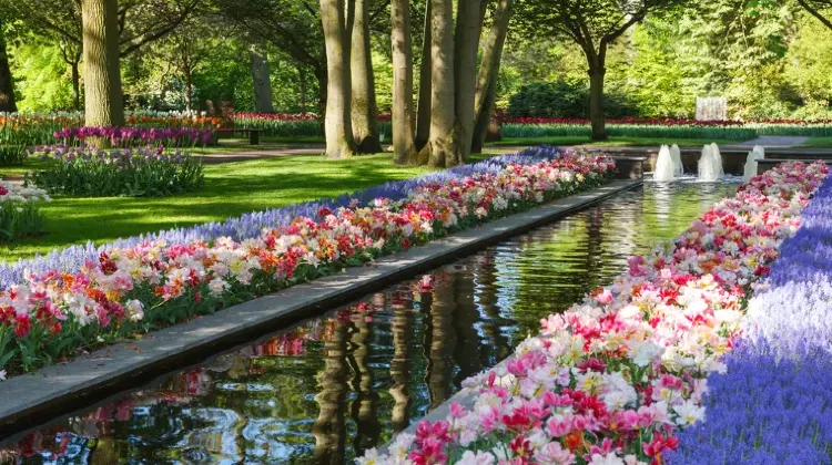 オランダの基本情報