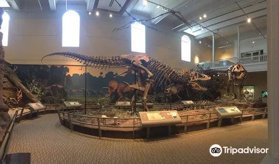 Tips for Visiting Pittsburgh in August