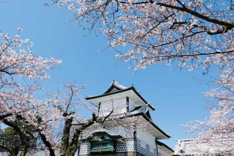 [2024] Spring Awakening Discovering the Weather in Japan in March and Blossoming Delights