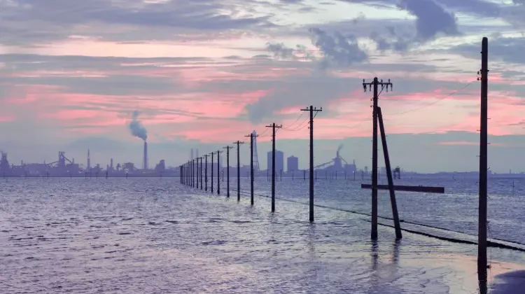 千葉のお土産選びでよくある質問