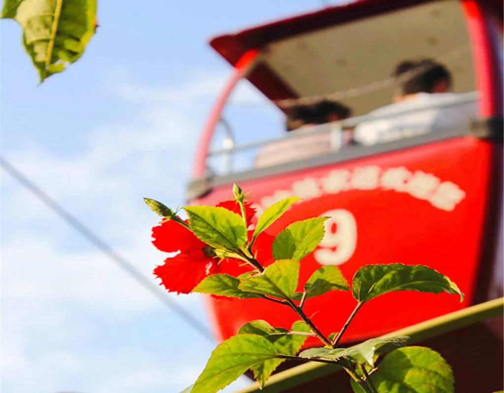 Zhonggu Cable Car