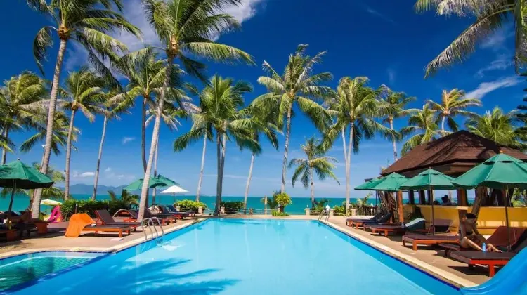 An outdoor swimming pool with many coconut trees next to it at Coco Palm Beach Resort