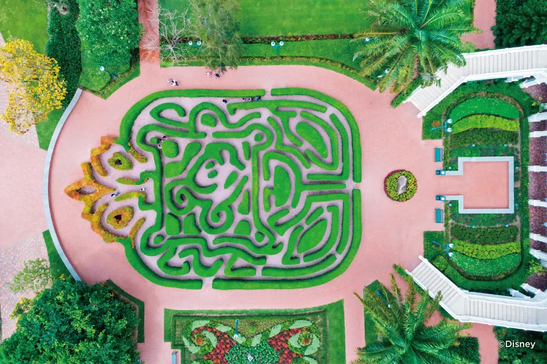 香港迪士尼樂園酒店 米奇迷宮	 香港迪士尼樂園酒店優惠