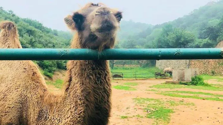 Beijing Itinerary: 5 Days in Beijing