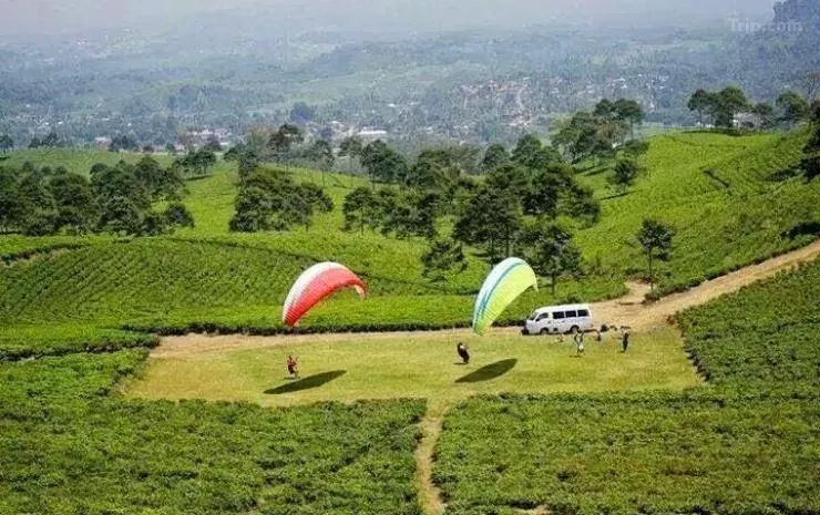 Wisata Karanganyar-Paralayang Kemuning