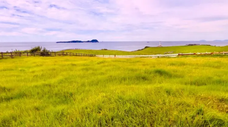 佐賀旅行で心温まるお土産を見つけよう！