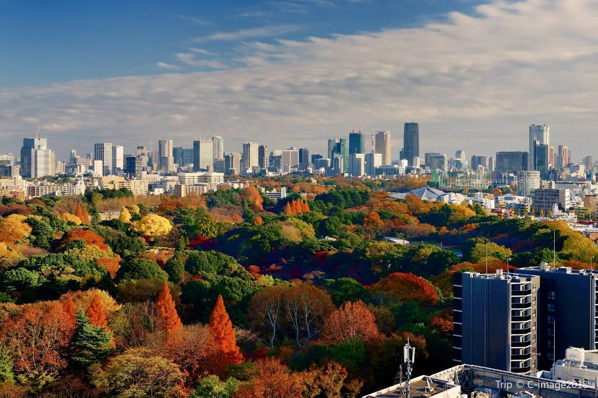 JR PASS東京廣域周遊券：新宿御苑