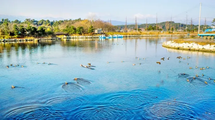 江陵駅に関するよくある質問