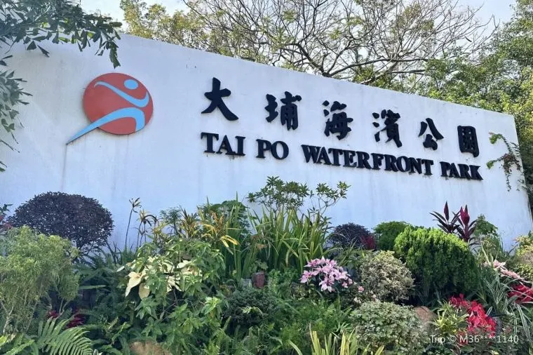 大埔氣溫 - 大埔海濱公園