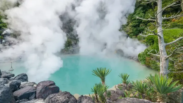 別府のお土産選びでよくある質問