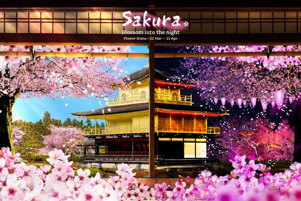 Other Attractions in Singapore