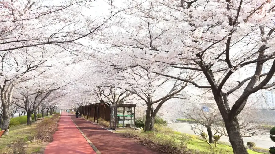 三樂江邊公園