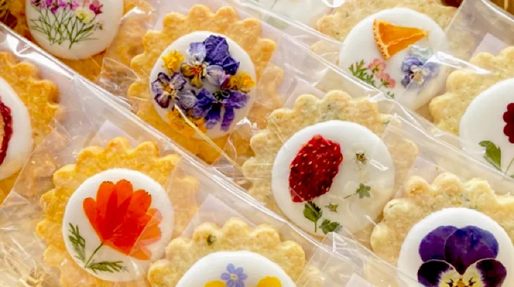 南房総まるごとクッキー