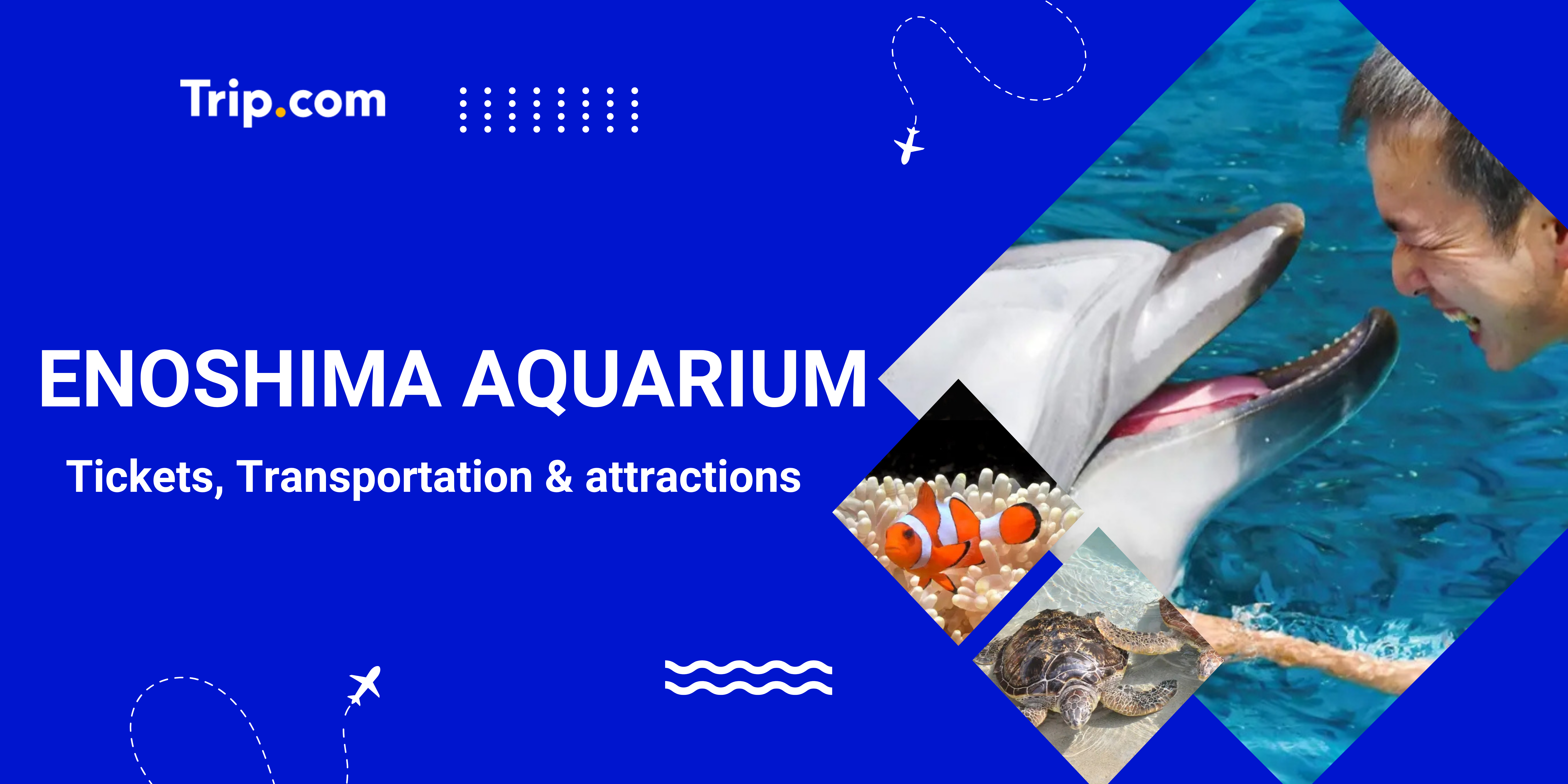Enoshima Aquarium: Tickets, Shows & Travel Guide | Trip.com