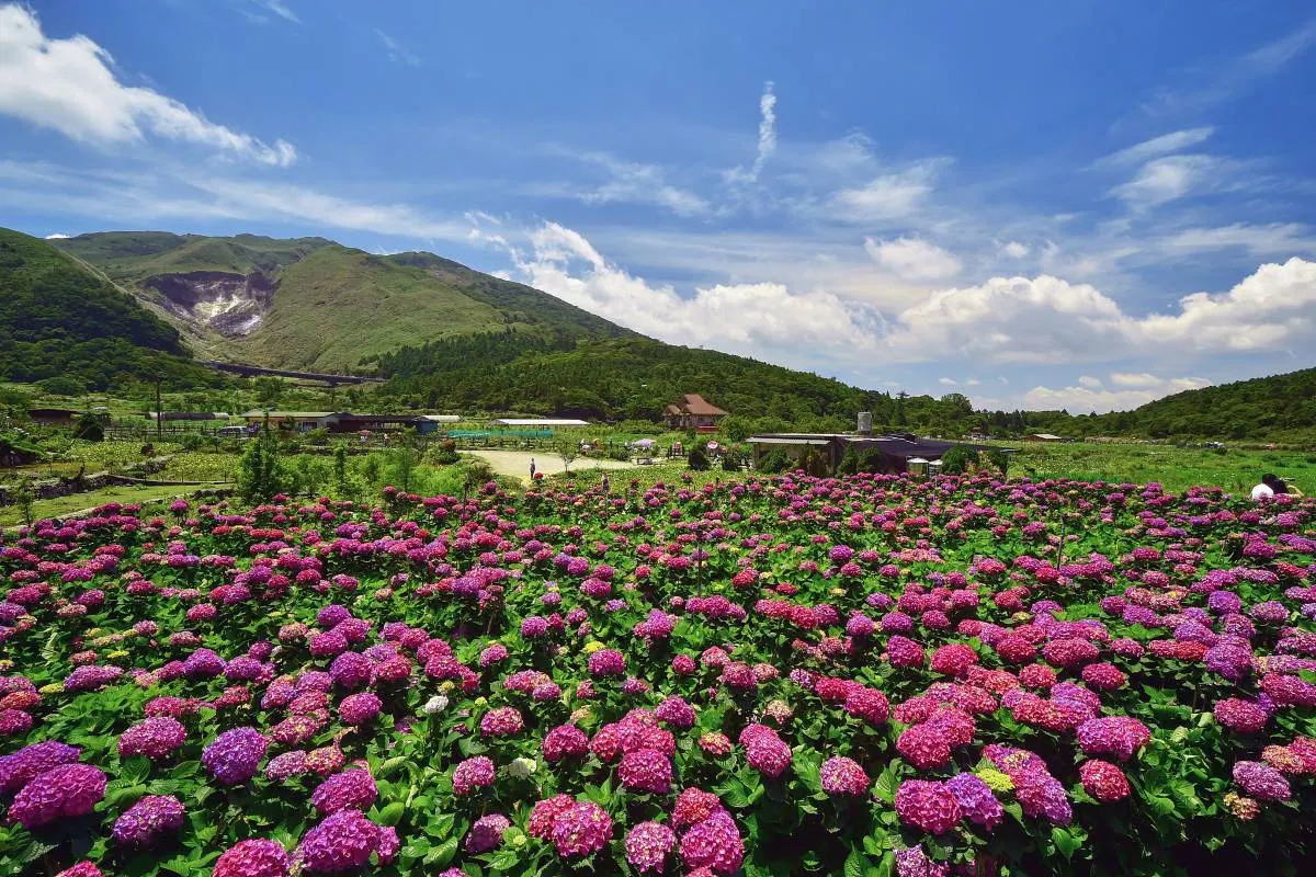 陽明山國家公園