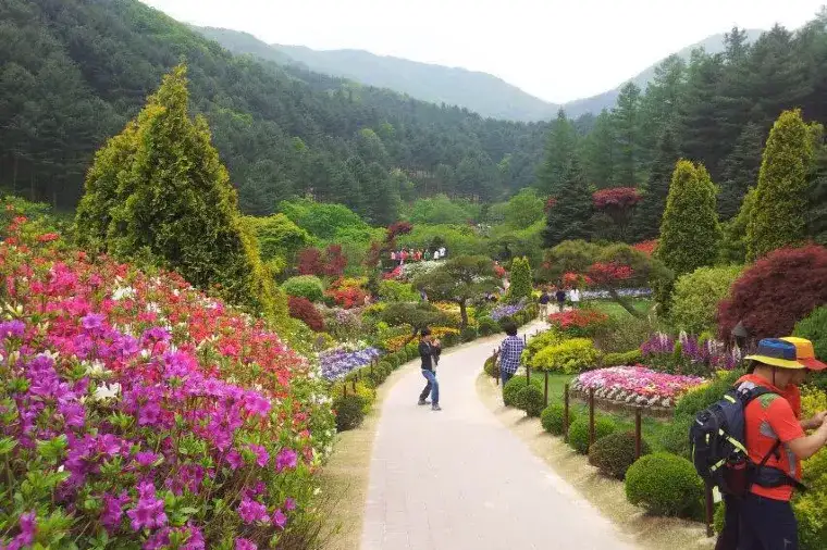 晨靜園藝樹木園
