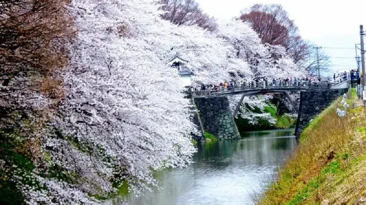 ひとり旅で山形に行ったらやりたい5つのこと