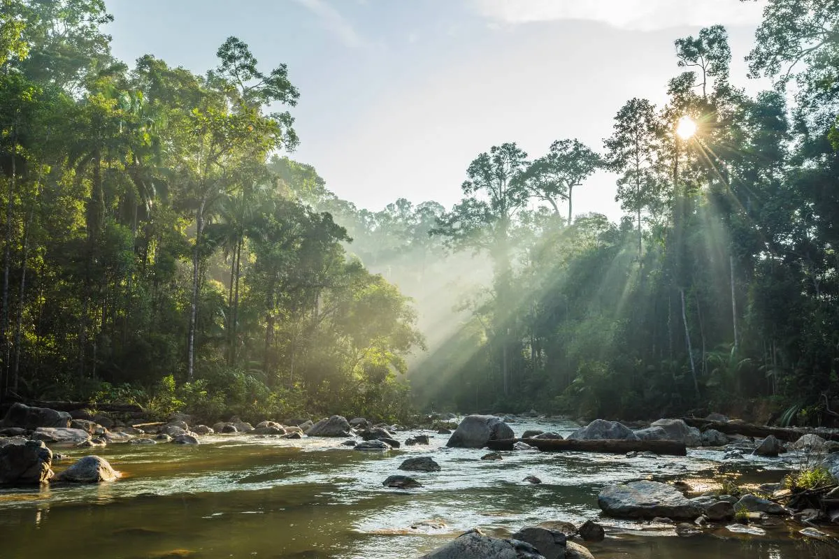 Taman Negara